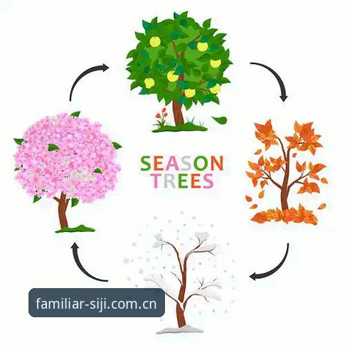 四季官方网址苹果版下载：从入口变化看Season CN的生态转向